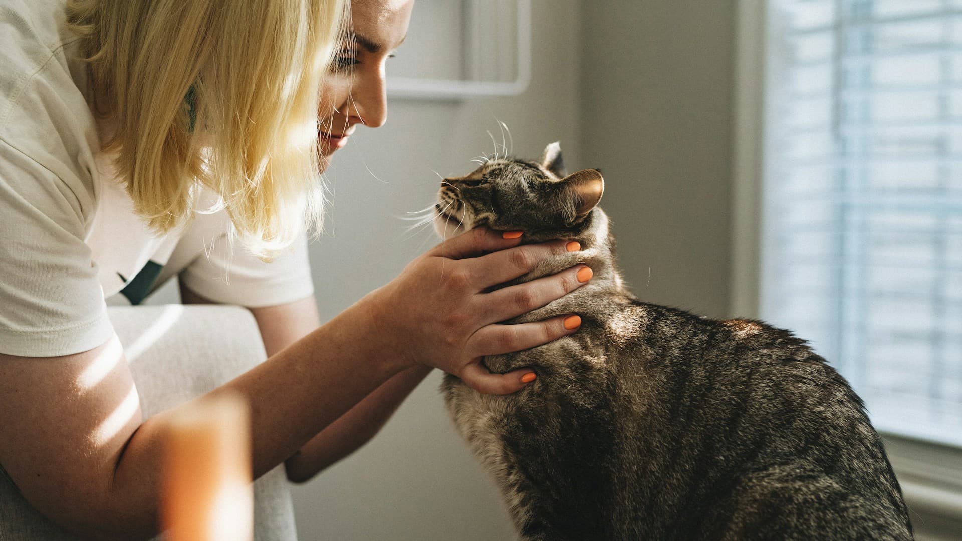 Veterinární kliniky
